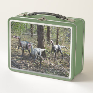 Lunchbox Trois Dinosaures Courants