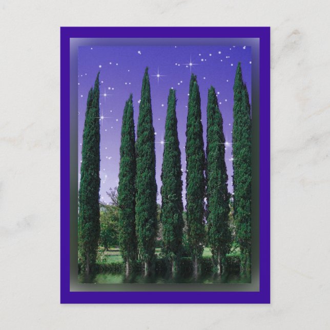 Lundblade Conifers - Starry Eve, carte postale (Devant)