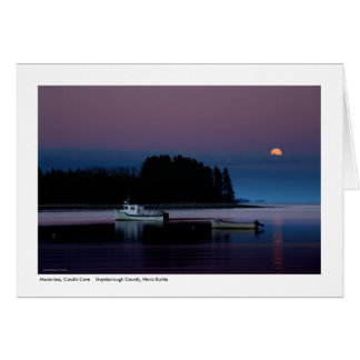 Lune, Cook's Cove