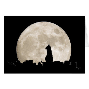 Lune de chat d'allée