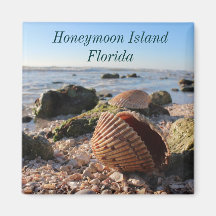 Lune de miel Floride Romantic Seashells aimant