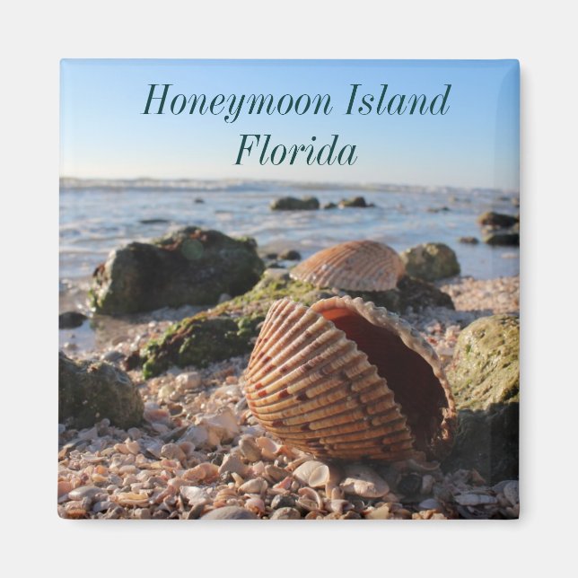Lune de miel Floride Romantic Seashells aimant (Devant)