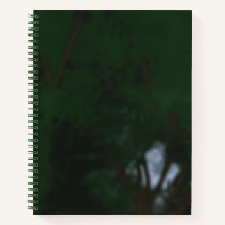 Lune Et Arbres Carnet Spiral