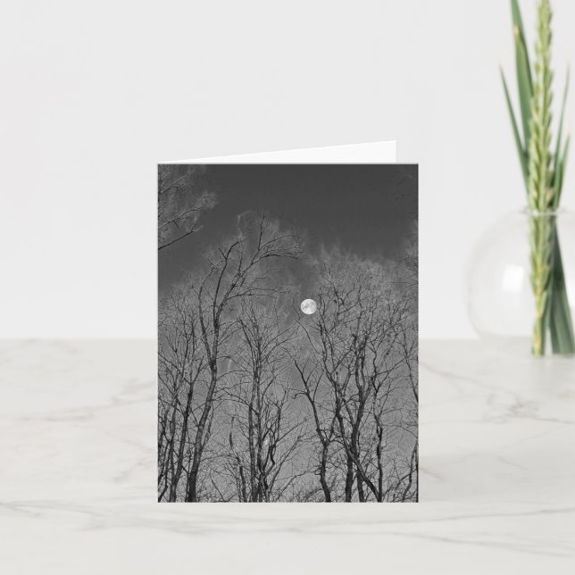 Lune noire et blanche à travers les arbres (Devant)