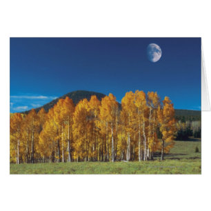 Lune sur un paysage, Vallée du Monument Navajo