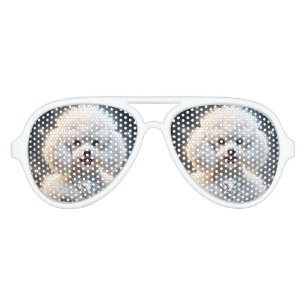 Lunettes De Fête Aviateur Caniche Blanche Avec Étincelle, Tons De Fête
