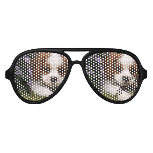 Lunettes De Fête Aviateur Chiot cavalier d'épagneul du Roi Charles derrièr