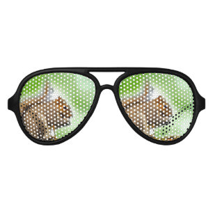 Lunettes De Fête Aviateur Écureuil