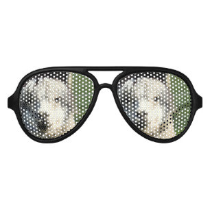 Lunettes De Fête Aviateur Face de lama