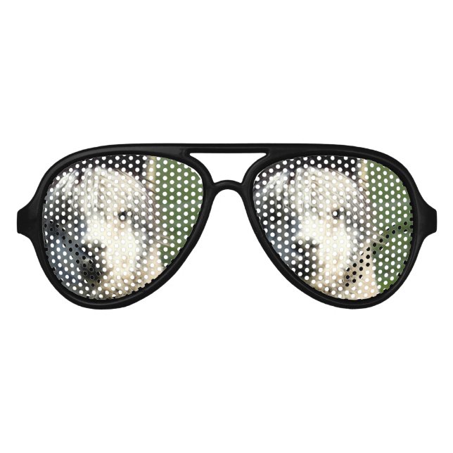 Lunettes De Fête Aviateur Face de lama (Devant)