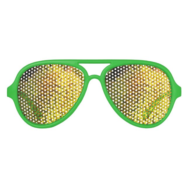 Lunettes De Fête Aviateur Fruit durian (Devant)