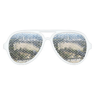 Lunettes De Fête Aviateur Himeji, Japon (Vue du château haut)