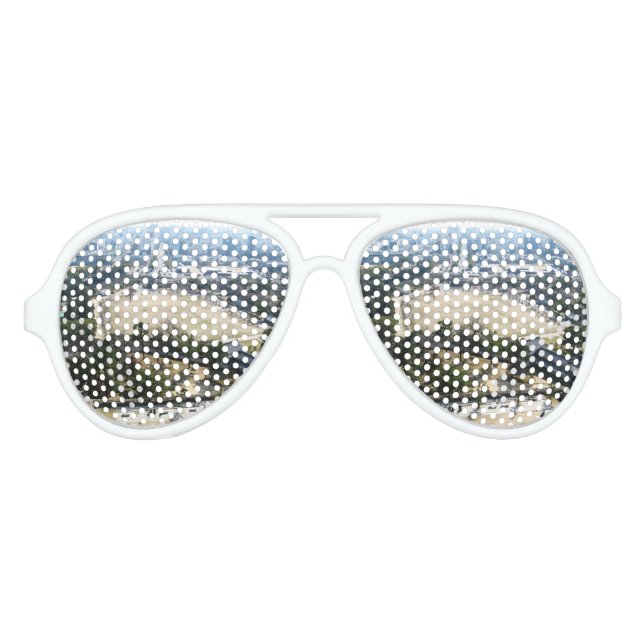 Lunettes De Fête Aviateur Himeji, Japon (Vue du château haut) (Devant)