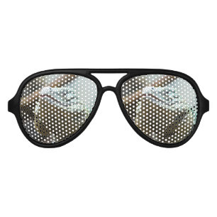 Lunettes De Fête Aviateur Iguane de Grand Cayman