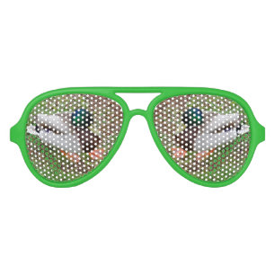 Lunettes De Fête Aviateur Nuances de Parti Rétro Canard Vert, Vert