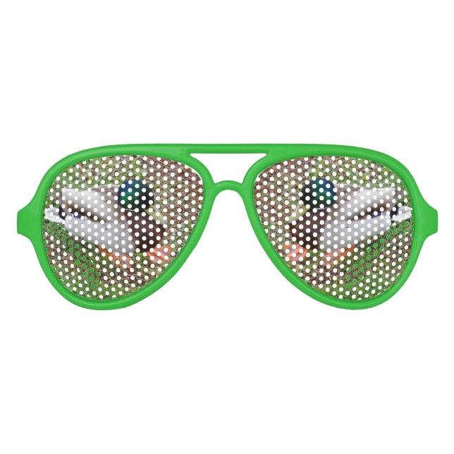 Lunettes De Fête Aviateur Nuances de Parti Rétro Canard Vert, Vert (Devant)