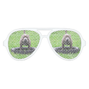 Lunettes De Fête Aviateur Staffordshire Bull Terrier Temps de jeu