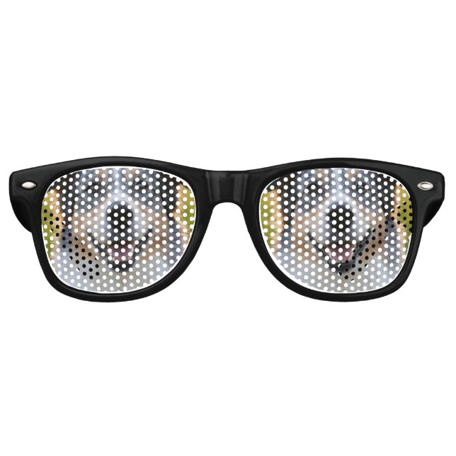 Lunettes De Fête Retro Ajouter une Personnaliser photo pour animaux domes (Devant)
