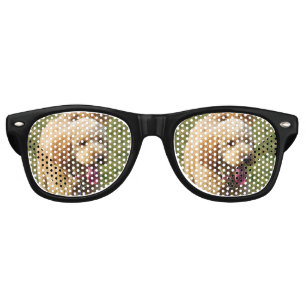 Lunettes De Fête Retro Chien de Goldendoodle