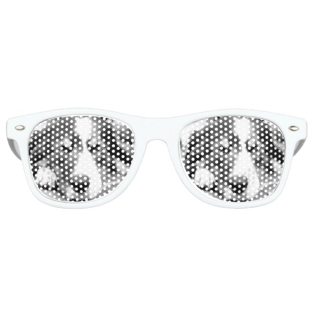 LUNETTES DE FÊTE RETRO COLLIE FRONTALIÈRE (Devant)