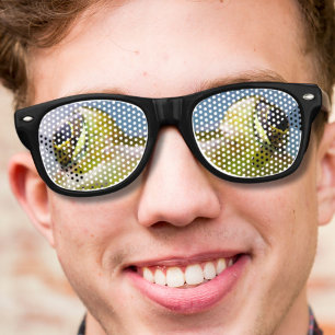 Lunettes De Fête Retro drôle de nouveauté nerd yeux de grenouille folle