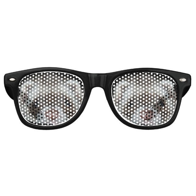 Lunettes De Fête Retro fritz le furet (Devant)