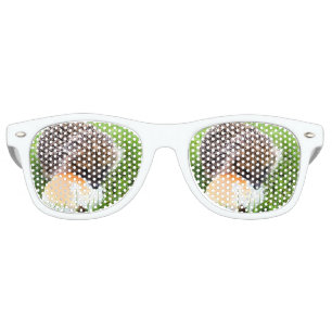 LUNETTES DE FÊTE RETRO HÉDGEHOG