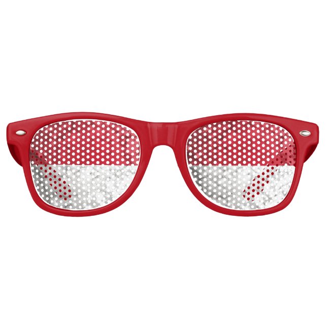 Lunettes De Fête Retro Monaco (Devant)