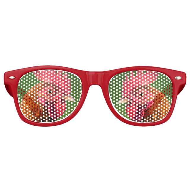 Lunettes De Fête Retro Rooster (Devant)
