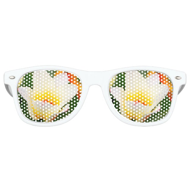 Lunettes De Fête Retro Tulip (Devant)