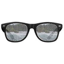 Visite touristique aux chutes du Niagara