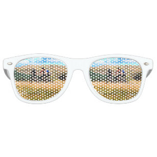LUNETTES DE FÊTE RETRO VTT