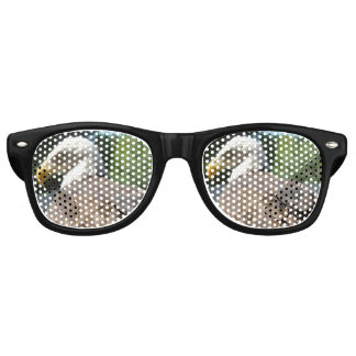Lunettes de soleil Bald Eagle