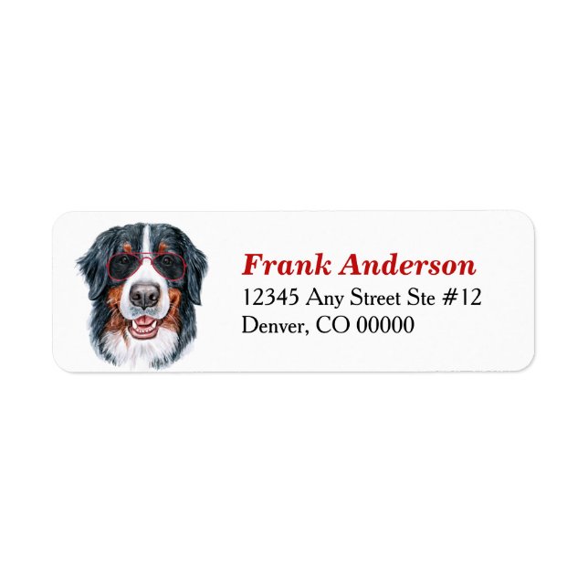 Lunettes de soleil Bernese Mountain Dog Adresse de (Devant)