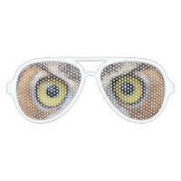 Lunettes de soleil de la chouette