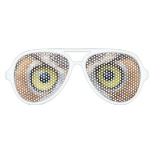 Lunettes de soleil de la chouette
