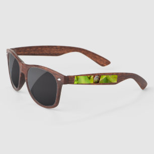 Lunettes De Soleil fixation calme