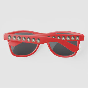 Lunettes De Soleil Meerkat Blanc En Cercles, Sommaires