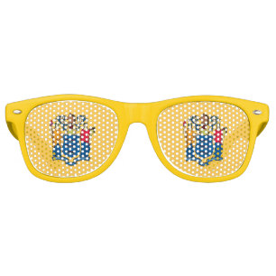 Lunettes de soleil Party Shades avec drapeau du Ne