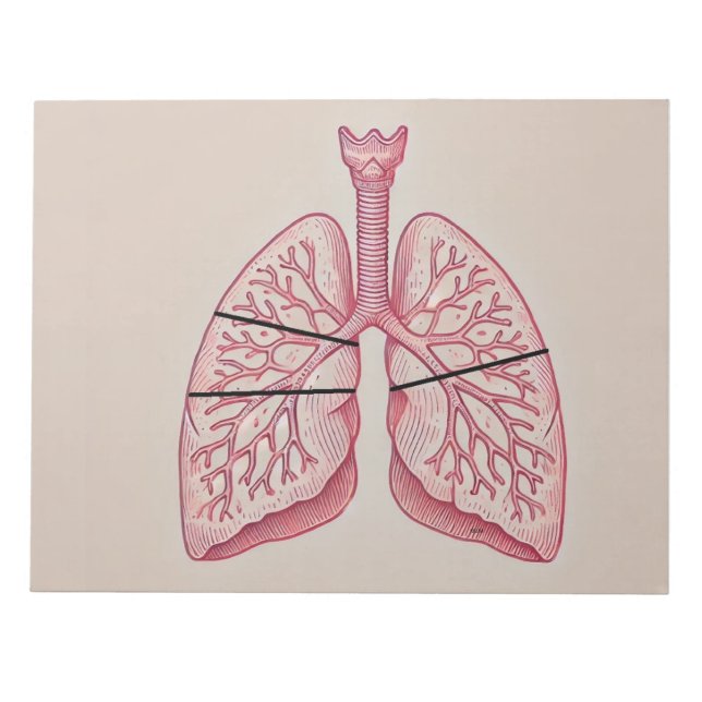 Lung diagram  notepad (Front)