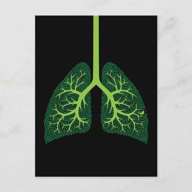 Lung Tree Postcard (Front)