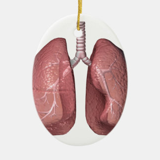 lungs ceramic ornament