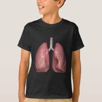 lungs