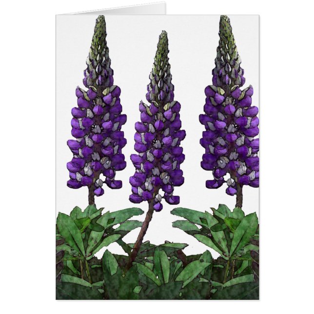 Lupin (Front)