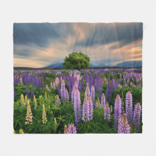 Lupin Field in New Zealand Fleece Blanket