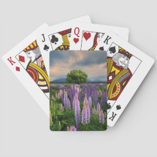 Lupin Field in New Zealand Playing Cards