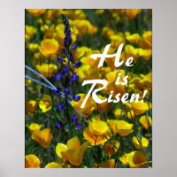 Lupin & Poppies He is Risen! Print