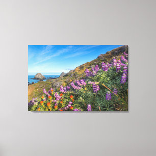 Lupine And Paintbrush Wildflowers Canvas Print