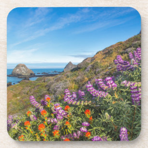 Lupine And Paintbrush Wildflowers Coaster