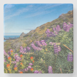 Lupine And Paintbrush Wildflowers Stone Coaster